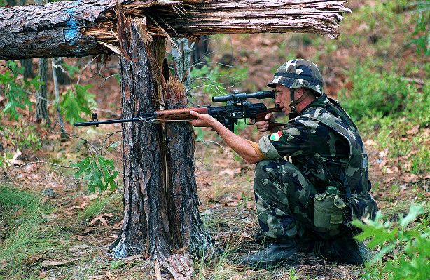 Разборка и сборка снайперской винтовки СВД,  карабинов серий «Тигр» и «Медведь»,  карабина ОЦ-18